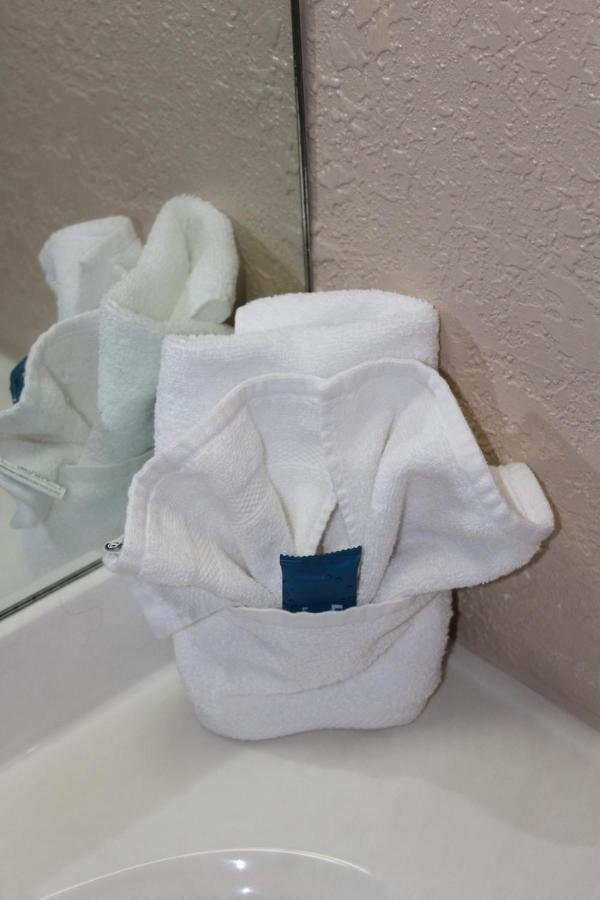 Apm Inn & Suites - Jacksonville Ngoại thất bức ảnh